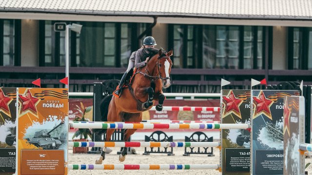 Own European-level equestrian club